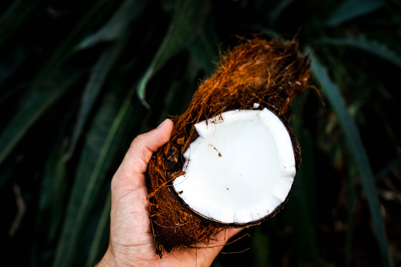 Stretches of Tedium by Aviva Domasian - person holding a coconut